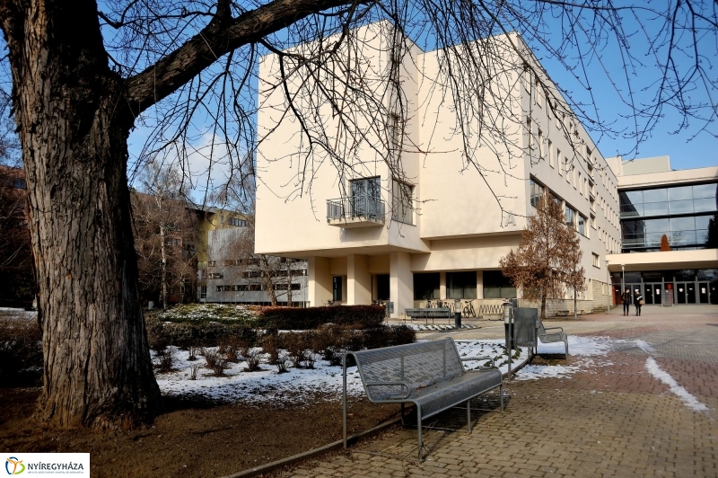 A Nyíregyházi Egyetem Nyílt Napja