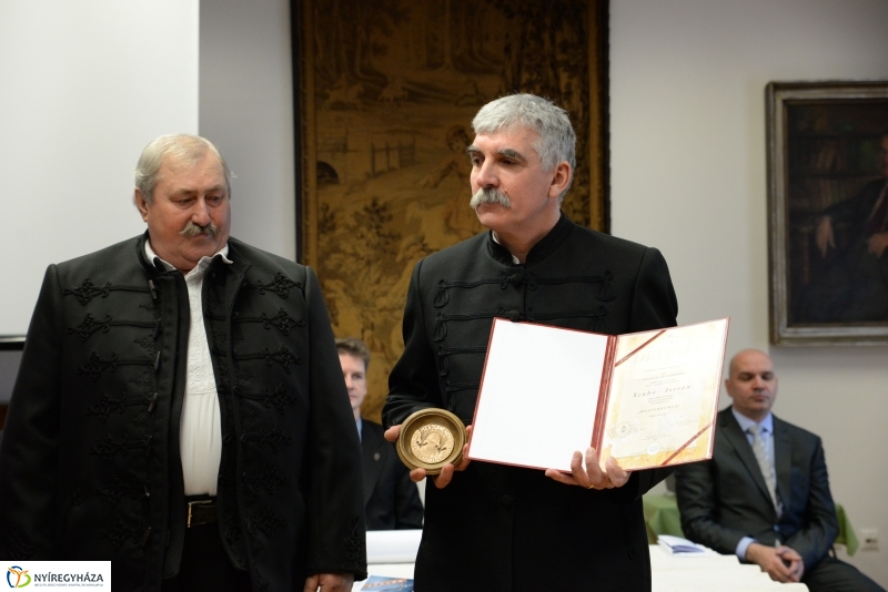 Kardritkaság a múzeumban