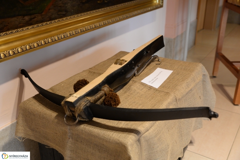 Kardritkaság a múzeumban