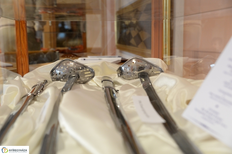 Kardritkaság a múzeumban