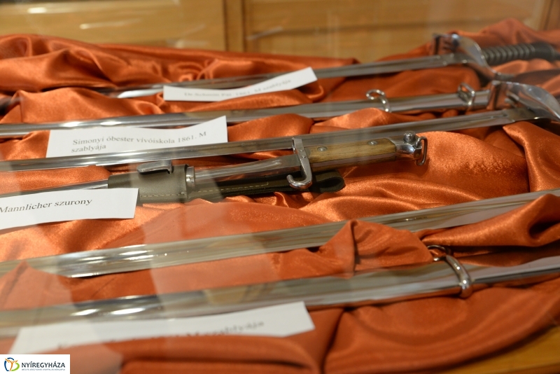 Kardritkaság a múzeumban