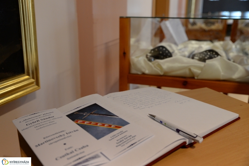 Kardritkaság a múzeumban