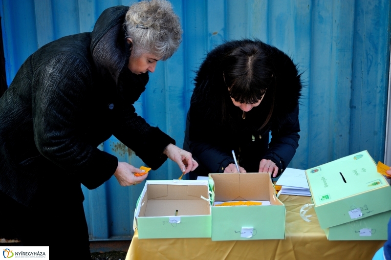 Karácsonyfáért ajándék eredményhirdetése