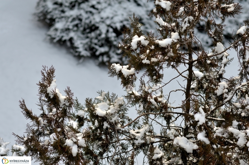 Belvárosi csendélet télen