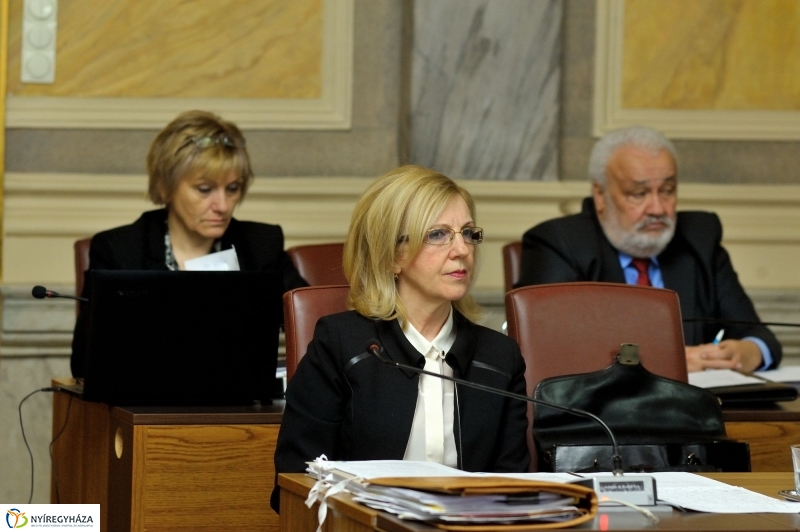 2016 első közgyűlése