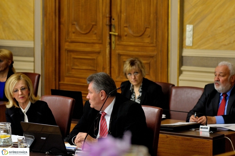 2016 első közgyűlése