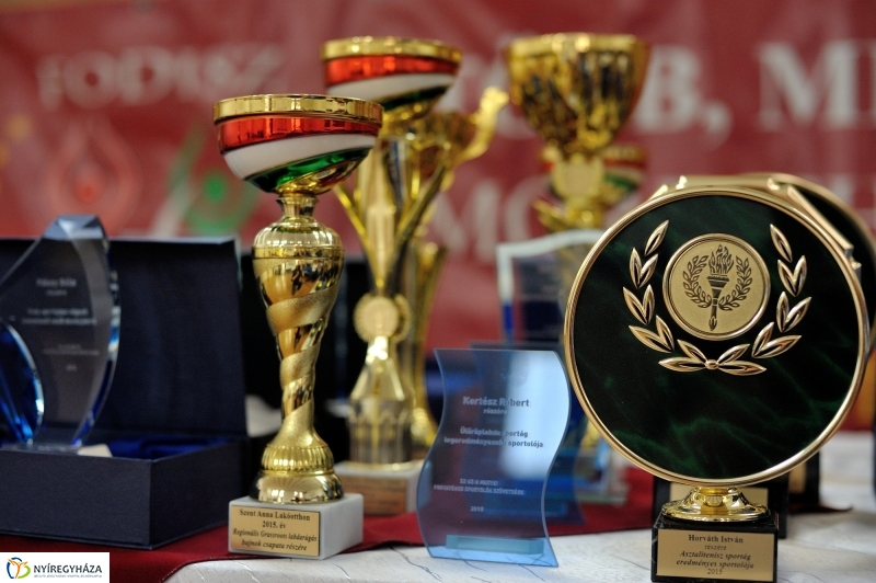 Megyei Fogyatékos Sportolók Gálája