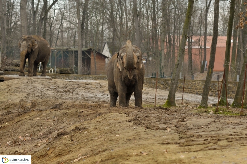 Tavaszváró az Állatparkban
