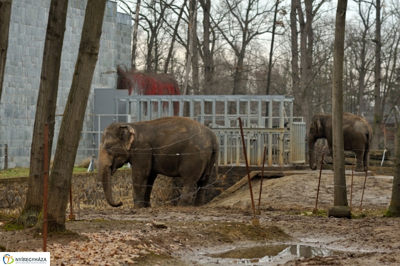 Tavaszváró az Állatparkban