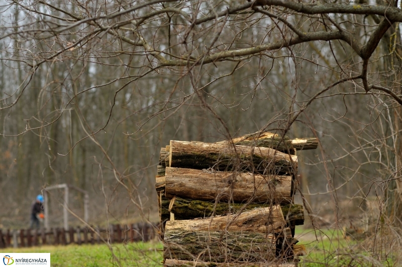 Erdőkezelés Sóstón