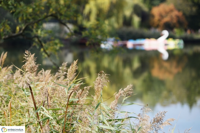 Sóstó az őszi napsütésben