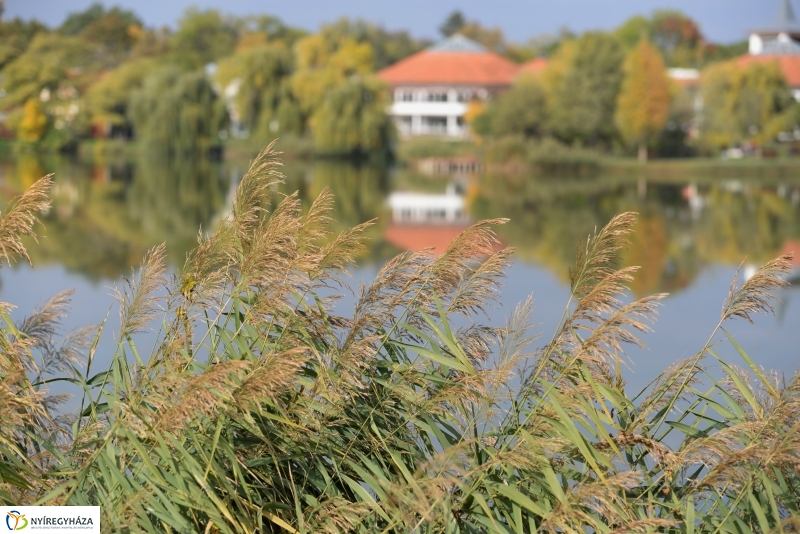 Sóstó az őszi napsütésben