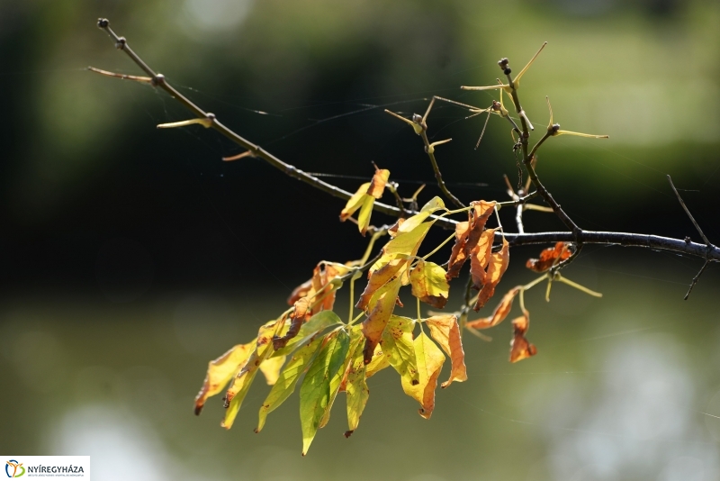 Sóstó az őszi napsütésben