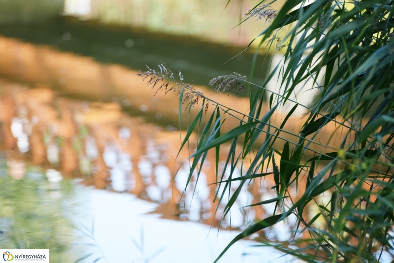 Sóstó az őszi napsütésben