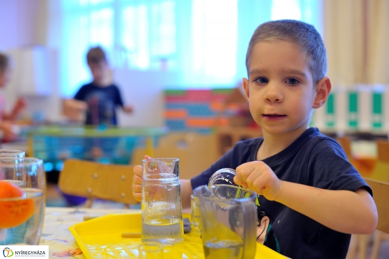 Zöld Óvoda címet kapott a Búzaszem Óvoda