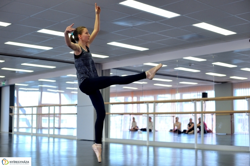 Éjjel-Nappal Primavera Balett