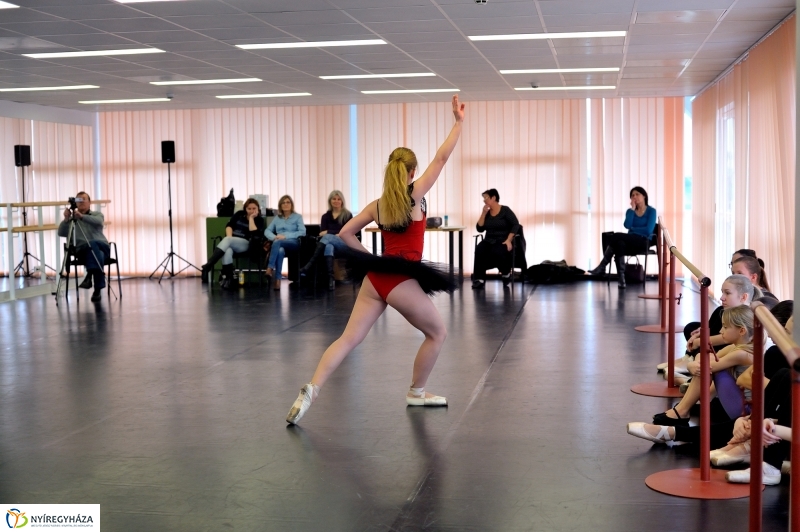 Éjjel-Nappal Primavera Balett