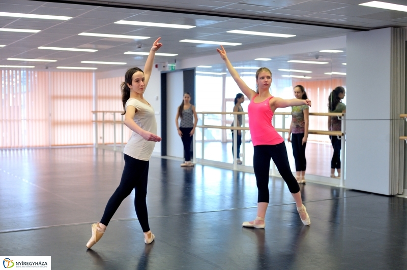 Éjjel-Nappal Primavera Balett