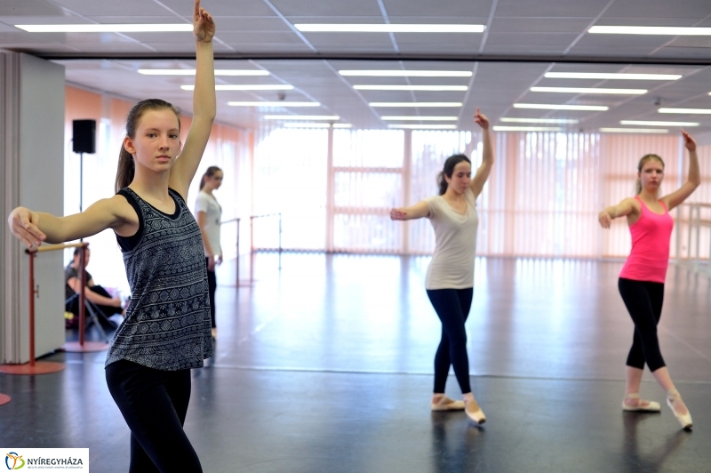 Éjjel-Nappal Primavera Balett