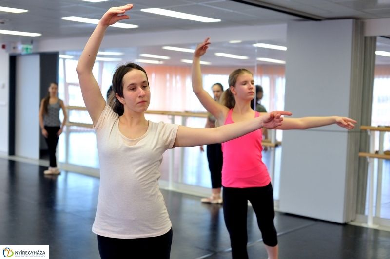 Éjjel-Nappal Primavera Balett