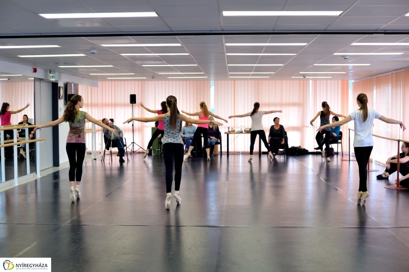 Éjjel-Nappal Primavera Balett