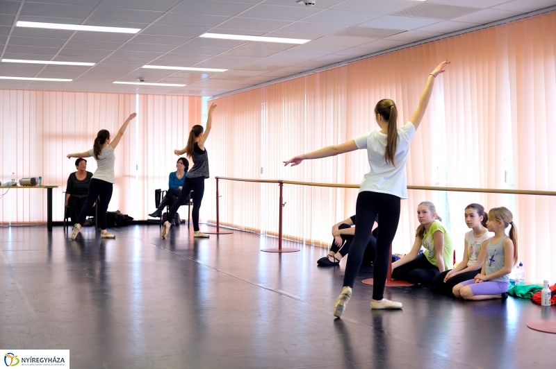 Éjjel-Nappal Primavera Balett