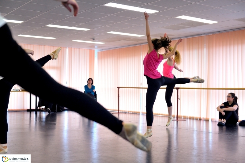 Éjjel-Nappal Primavera Balett