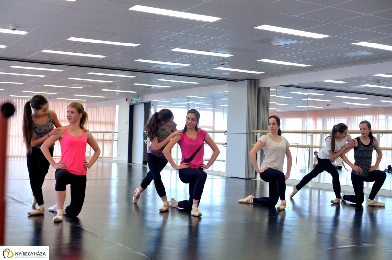 Éjjel-Nappal Primavera Balett