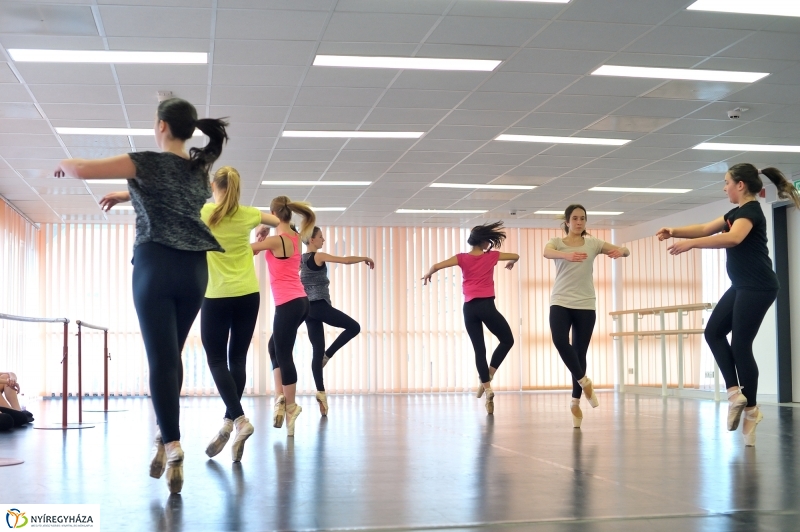 Éjjel-Nappal Primavera Balett