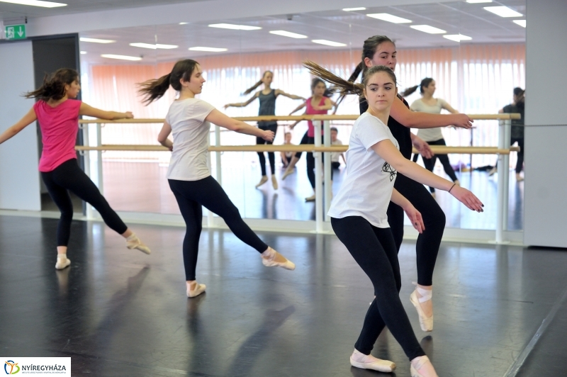 Éjjel-Nappal Primavera Balett