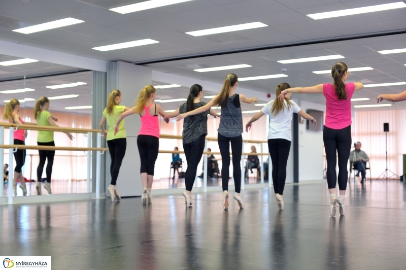 Éjjel-Nappal Primavera Balett