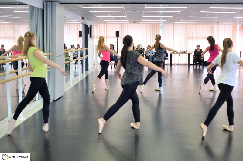 Éjjel-Nappal Primavera Balett