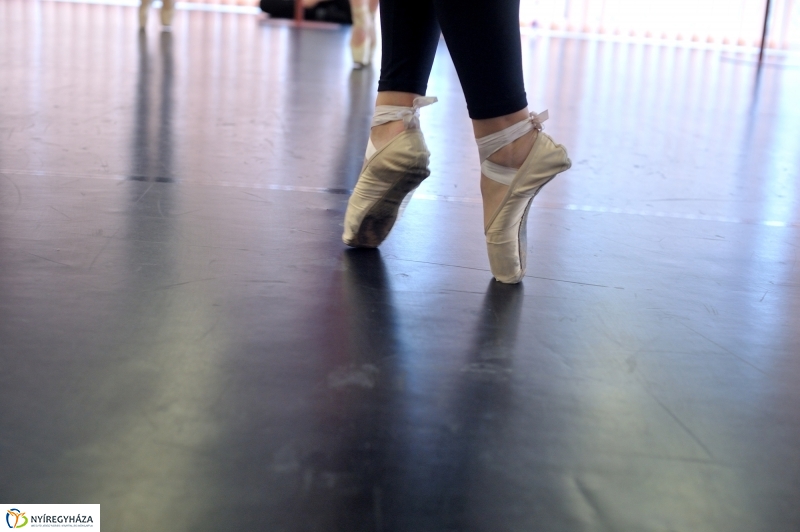 Éjjel-Nappal Primavera Balett