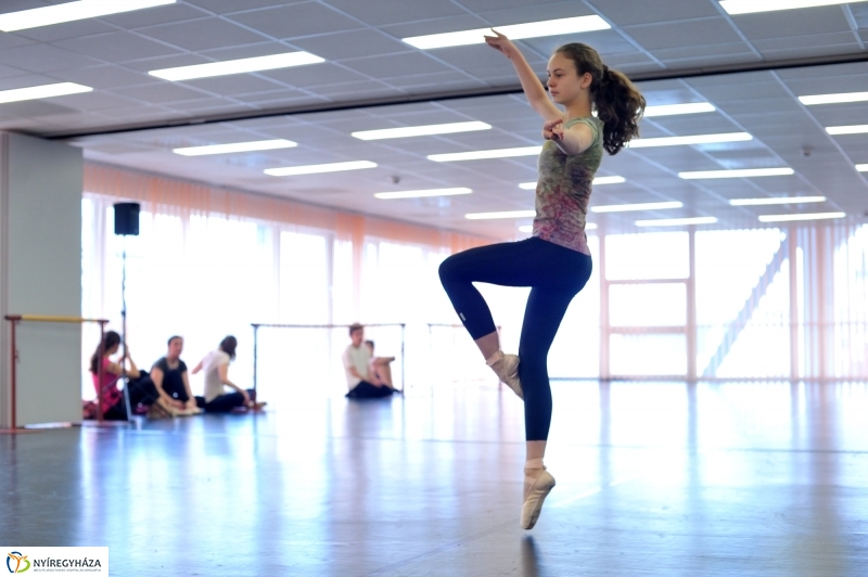 Éjjel-Nappal Primavera Balett