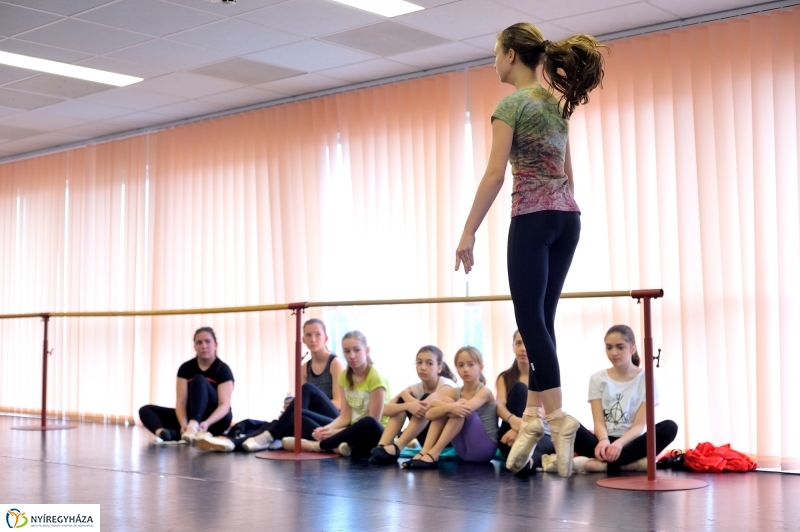 Éjjel-Nappal Primavera Balett