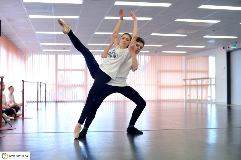 Éjjel-Nappal Primavera Balett