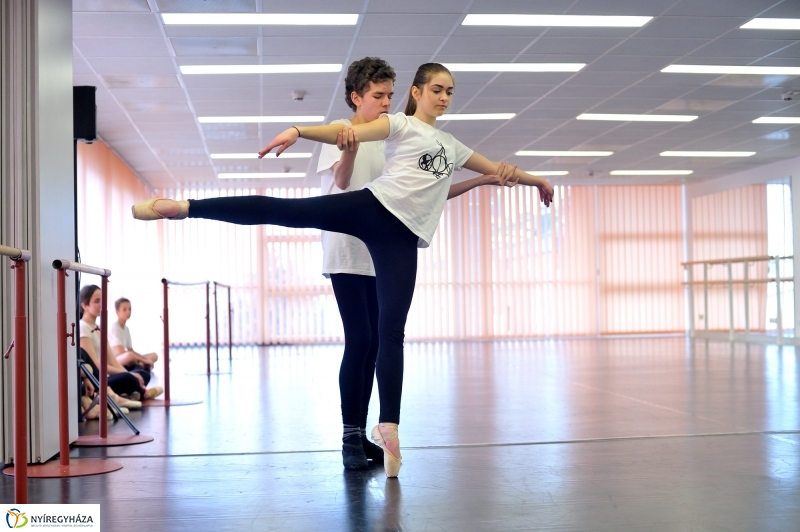 Éjjel-Nappal Primavera Balett