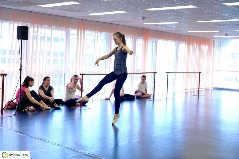 Éjjel-Nappal Primavera Balett