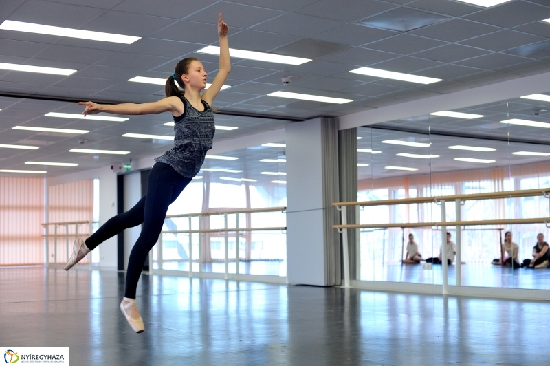 Éjjel-Nappal Primavera Balett