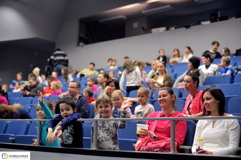 Éjjel-Nappal Micimackó zenés mesejáték