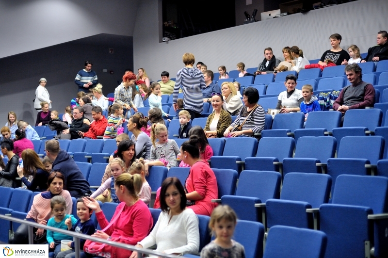 Éjjel-Nappal Micimackó zenés mesejáték