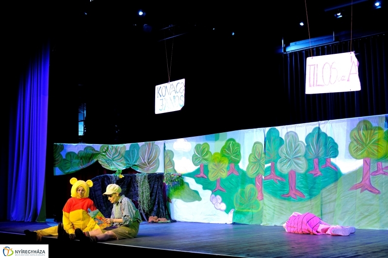 Éjjel-Nappal Micimackó zenés mesejáték