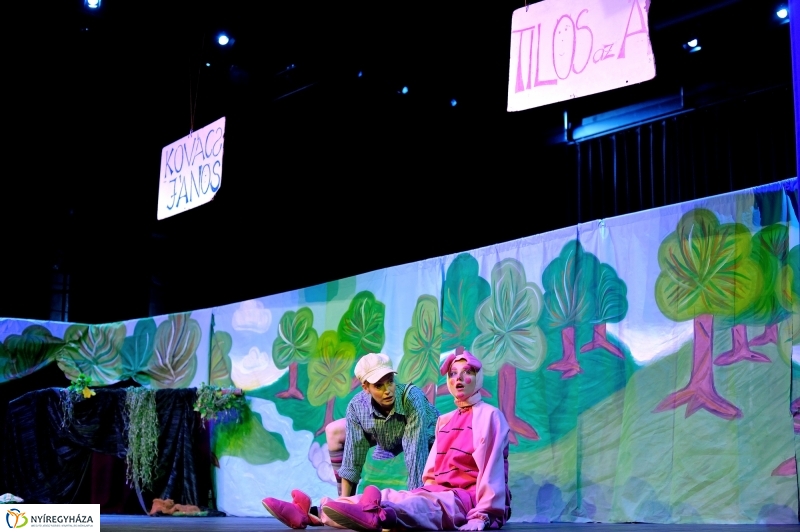 Éjjel-Nappal Micimackó zenés mesejáték