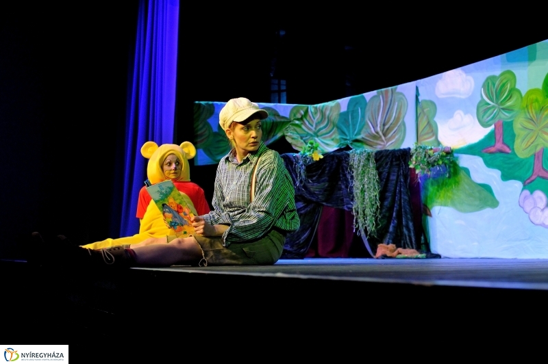 Éjjel-Nappal Micimackó zenés mesejáték