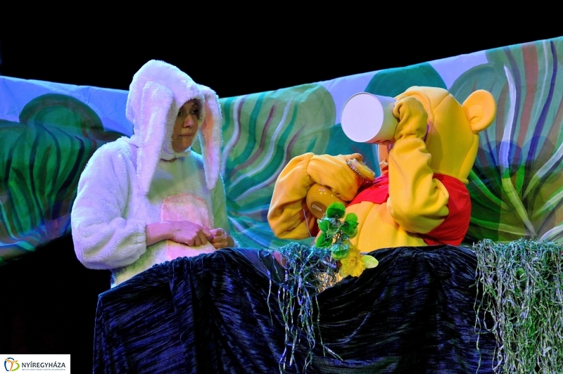 Éjjel-Nappal Micimackó zenés mesejáték