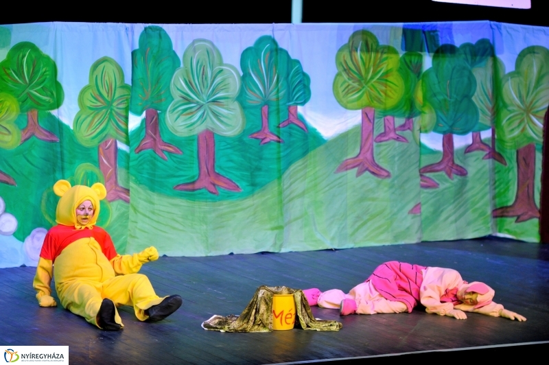 Éjjel-Nappal Micimackó zenés mesejáték