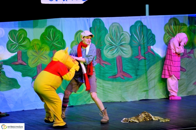 Éjjel-Nappal Micimackó zenés mesejáték