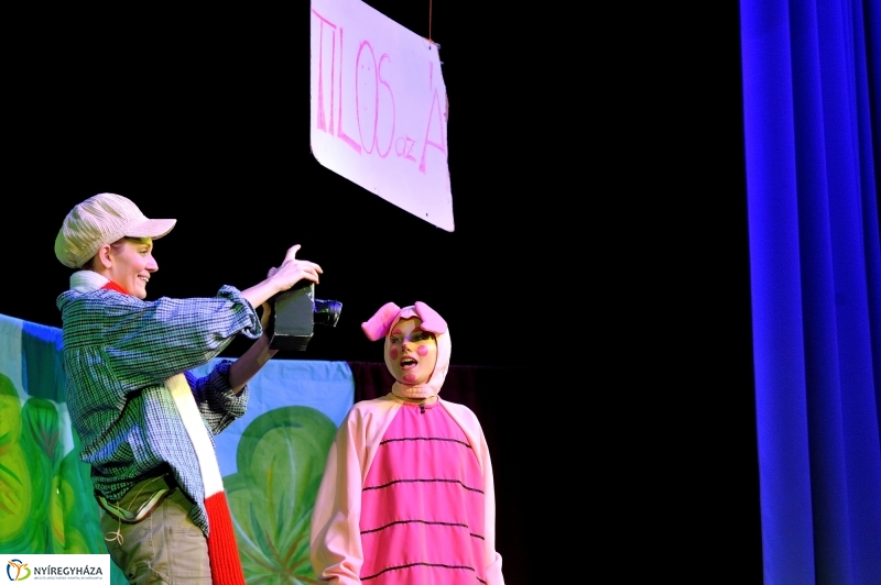 Éjjel-Nappal Micimackó zenés mesejáték