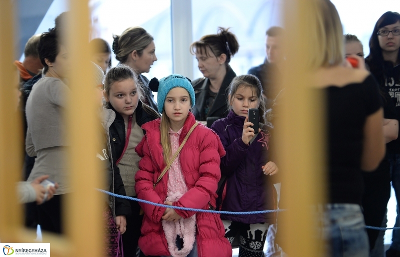 Szabolcs Kupa a VMKK-ban