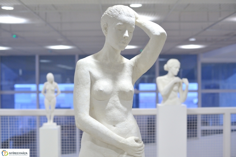 Formák, Hangok, Forgások - kiállításmegnyitó